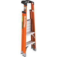 Escabeau avec plateforme Safespace, 2', Cap. De 300 lb We Share Industrial Supply