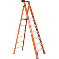 Escabeau avec plateforme Safespace, 6', Cap. De 300 lb We Share Industrial Supply