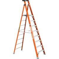 Escabeau avec plateforme Safespace, 8', Cap. De 300 lb We Share Industrial Supply