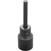 Embout &agrave; ins&eacute;rer, Hexagonale, 6 mm x 3-1/4" lo, Prise 1/2" We Share Industrial Supply