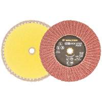 QUICK-STEP FLEX, 5" x Type 29, 40 Grit, Aluminum Oxide We Share Industrial Supply