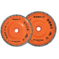 Blendex U Finishing Cup Disc, 4-1/2" Dia., Fine Grit, Silicon Carbide We Share Industrial Supply