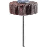 M&egrave;che de ponçage &agrave; roue &agrave; lamelles 3/8" - grain 120 We Share Industrial Supply