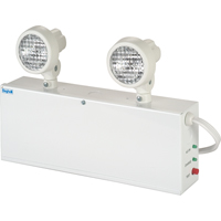 Lampes de secours Nova, Acier, Incandescente, 120 V - 347 V We Share Industrial Supply