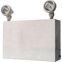 Lampes de secours Nova, Acier, DEL, 120 V - 347 V We Share Industrial Supply