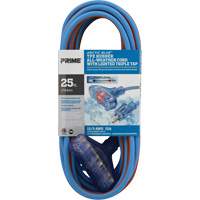 Extension Cords & Reels