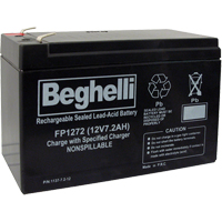 Blocs-piles scell&eacute;s au plomb-acide, 12 V, 7,2 Ah We Share Industrial Supply