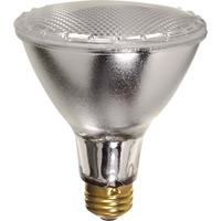Gammes de lampes &eacute;conomiques We Share Industrial Supply