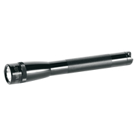 Lampes de poche Mini Pro, DEL, 332 lumens, Piles AA We Share Industrial Supply