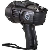 Waypoint&reg; Pistol Grip Spotlight, LED, 550 Lumens, C Batteries We Share Industrial Supply