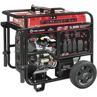 V-Twin Gasoline Generator, 15000 W Surge, 12500 W Rated, 120 V/240 V, 40 L Tank We Share Industrial Supply