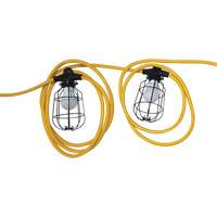 Chaînes de lumi&egrave;res DEL, 5 Lumi&egrave;res, 600" lo, Boîtier en M&eacute;tal We Share Industrial Supply