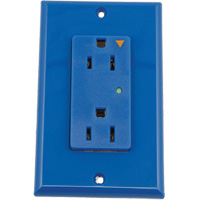 Surge Protective Isolated Decora&reg; Outlet We Share Industrial Supply