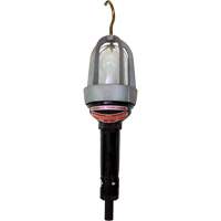 Baladeuses pour emplacements dangereux We Share Industrial Supply