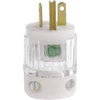 Prise de rallonge de qualit&eacute; hospitali&egrave;re, Nylon, 20 A, 125 V We Share Industrial Supply