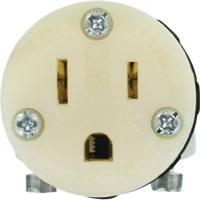 Connecteur de prise de rallonge de qualit&eacute; hospitali&egrave;re, 5-15R, Nylon We Share Industrial Supply