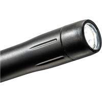 Lampe stylo, DEL, 139 lumens, Corps en Plastique, piles AAA, Compris We Share Industrial Supply
