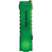 Lampe de poche, DEL, 378 lumens, Piles AA We Share Industrial Supply