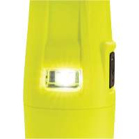 Lampe de poche VLO, DEL, 280 lumens, Piles AA We Share Industrial Supply