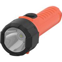 Lampe de poche portative Intrinsically Safe, DEL, 150 lumens, Piles AA We Share Industrial Supply