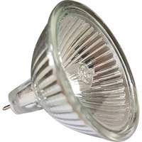 Ampoule de rechange MR16 We Share Industrial Supply