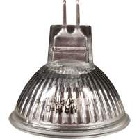 Ampoule de rechange MR16 We Share Industrial Supply