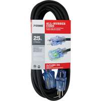 All-Rubber Extension Cord, Outdoor, SJOOW, 14/3 AWG, 15 A, 25' We Share Industrial Supply