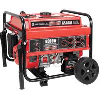 Electric Start Gas Generator with Wheel Kit, 6500 W Surge, 5000 W Rated, 120 V/240 V, 20 L Tank We Share Industrial Supply