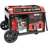 Electric Start Gas Generator with Wheel Kit, 12000 W Surge, 9000 W Rated, 120 V/240 V, 31 L Tank We Share Industrial Supply