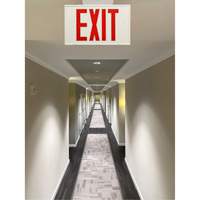 Exit Sign, LED, Battery Operated/Hardwired, 12-1/5" L x 7-1/2" W, English We Share Industrial Supply
