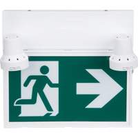 Enseigne d'homme qui court avec &eacute;clairage de s&eacute;curit&eacute;, DEL, &agrave; piles/&agrave; raccordement fixe, 12-1/10" lo x 11" la, Pictogramme We Share Industrial Supply