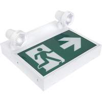 Enseigne d'homme qui court avec &eacute;clairage de s&eacute;curit&eacute;, DEL, &agrave; piles/&agrave; raccordement fixe, 12-1/10" lo x 11" la, Pictogramme We Share Industrial Supply