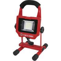 Work Light, LED, 15 W, 1500 Lumens, Aluminum Housing We Share Industrial Supply