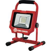 Work Light, LED, 20 W, 3000 Lumens, Aluminum Housing We Share Industrial Supply