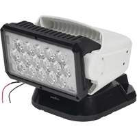 Projecteur orientable polyvalent &agrave; t&eacute;l&eacute;commande, DEL, 4250 lumens We Share Industrial Supply