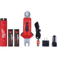 Lampe USB polyvalente REDLITHIUM pour perche isolante, DEL, Piles Rechargeable, Aluminium We Share Industrial Supply