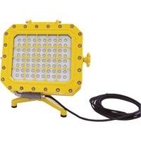 Diffuseur anti-d&eacute;flagration avec support pour plancher, DEL, 40 W, 5600 lumens, Boîtier en Aluminium We Share Industrial Supply