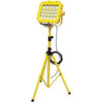 Diffuseur anti-d&eacute;flagration avec tr&eacute;pied, DEL, 40 W, 5600 lumens, Boîtier en Aluminium We Share Industrial Supply