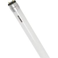 SubstiTUBE&reg; Frosted Glass LED Bulb, 12 W, T8, 5000 K, 48" L We Share Industrial Supply