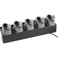 Chargeur de batteries de lampe de poche Survivor X We Share Industrial Supply