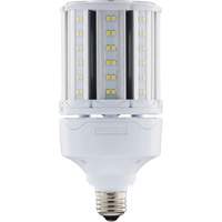 Ampoule HID de remplacement s&eacute;lectionnable ULTRA LED, E26, 18 W, 2700 lumens We Share Industrial Supply