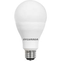 Lampe Ultra LED A-Line, 23 W, 2600 lumens, base Moyen We Share Industrial Supply