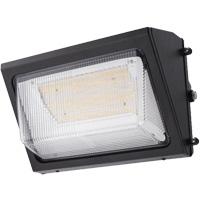Luminaire mural, DEL, 120 -347 V, 80 W We Share Industrial Supply