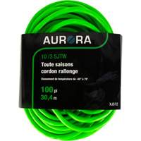 Cordon rallonge de calibre industriel, Toutes saisons, SJTW, AWG 10/3, 15 A, 100' We Share Industrial Supply