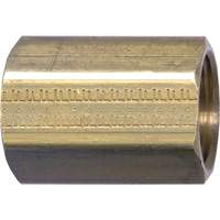 Raccord de tuyau, Laiton, 1/8" We Share Industrial Supply